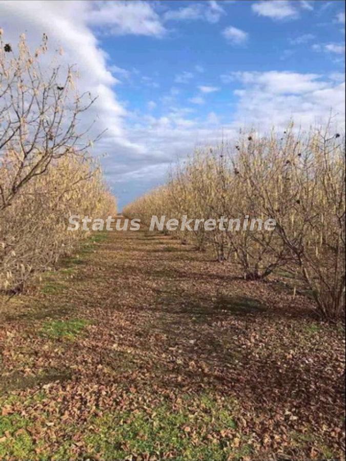Plac Prodaja Bačka Palanka Gajdobra 0 m2