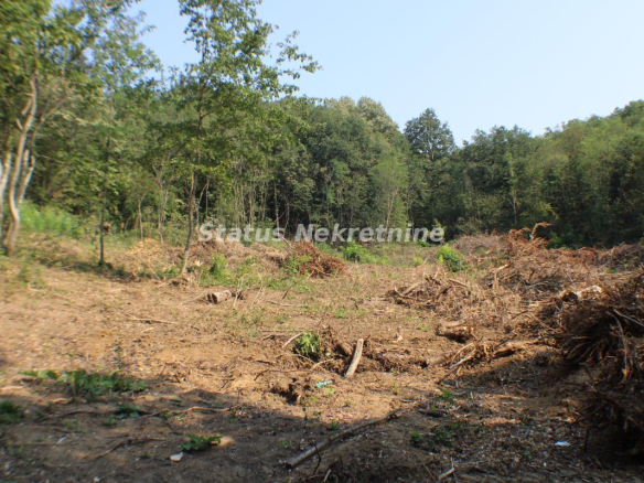 Plac Prodaja Beočin  0 m2