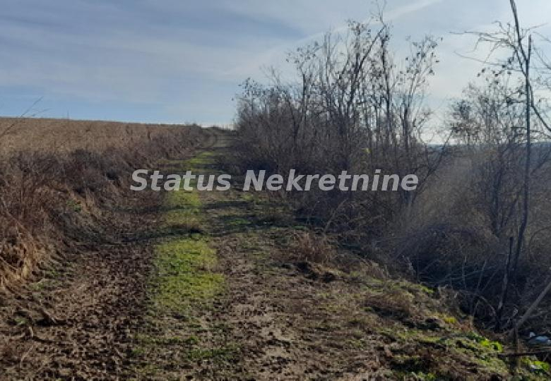 Plac – Beočin, – ID 21461.