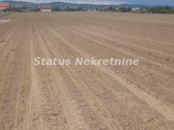 Plac Prodaja Novi Sad  0 m2