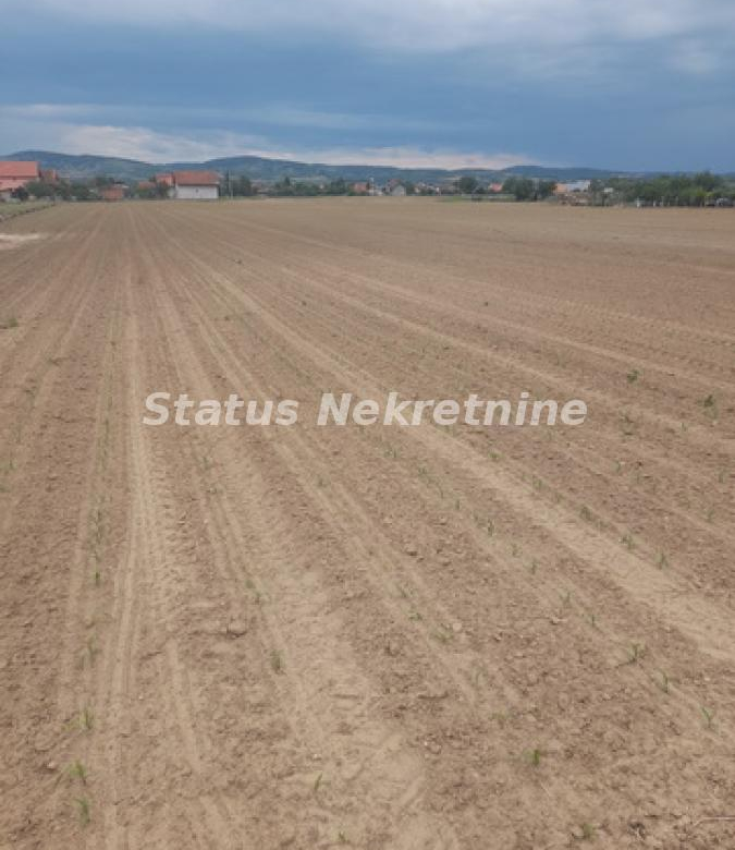Plac – Novi Sad, Futog – ID 21029.