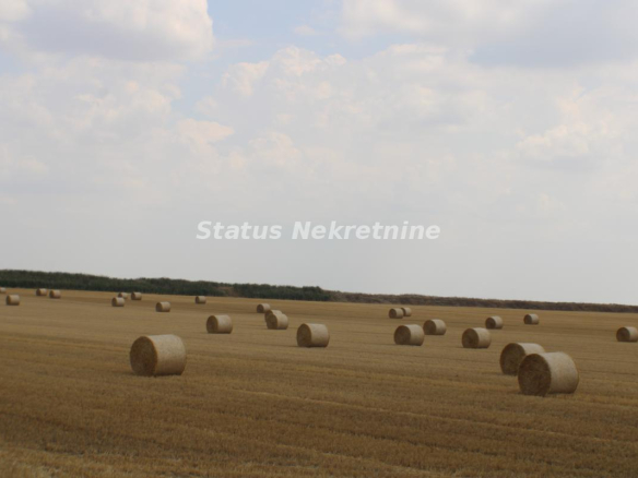 Plac Prodaja Žabalj  0 m2