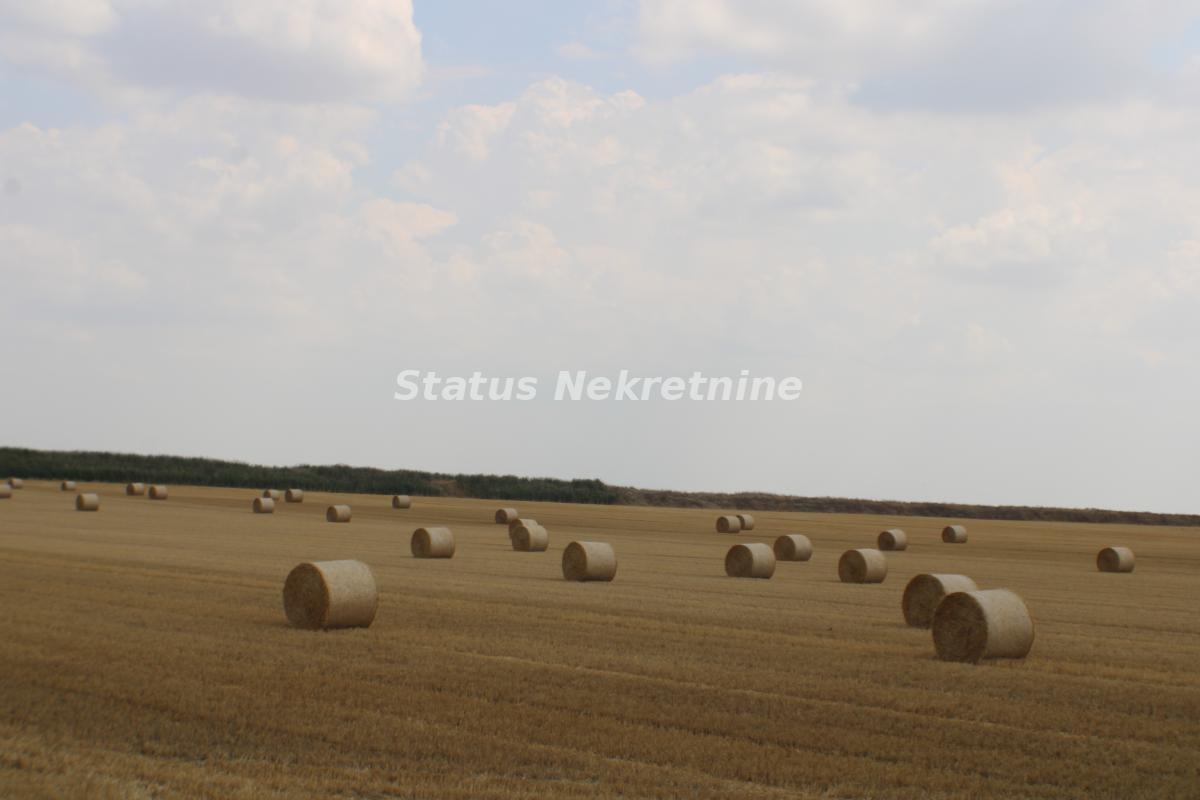 Plac Prodaja Žabalj  0 m2