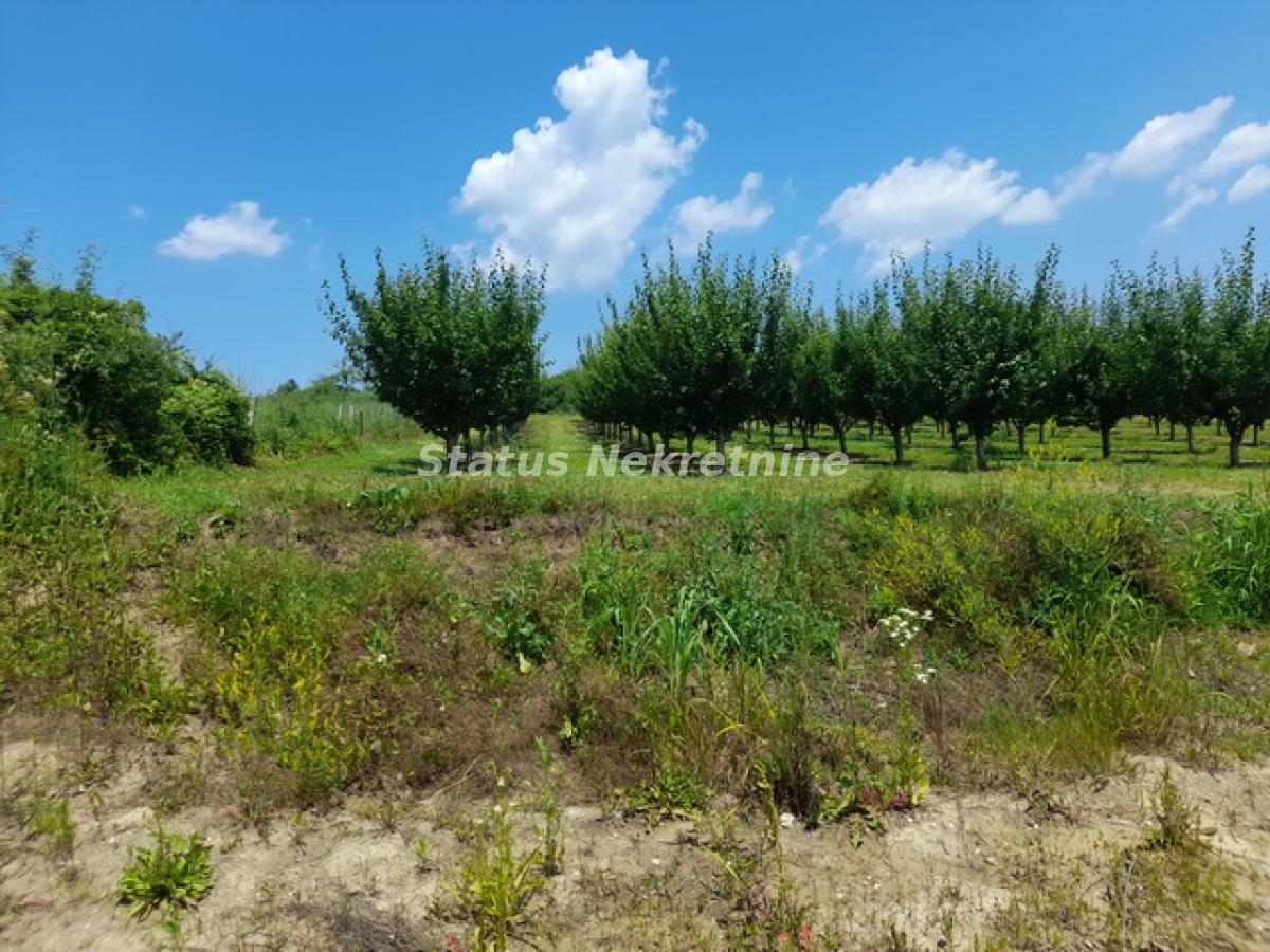 Plac Prodaja Vrdnik Plac Prodaja Vrdnik 0 m2