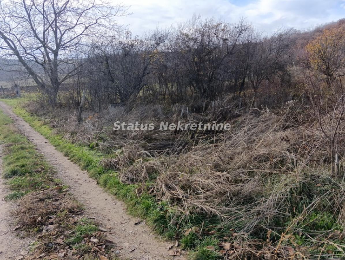 Plac Prodaja Sremski Karlovci Plac Prodaja Sremski Karlovci 0 m2