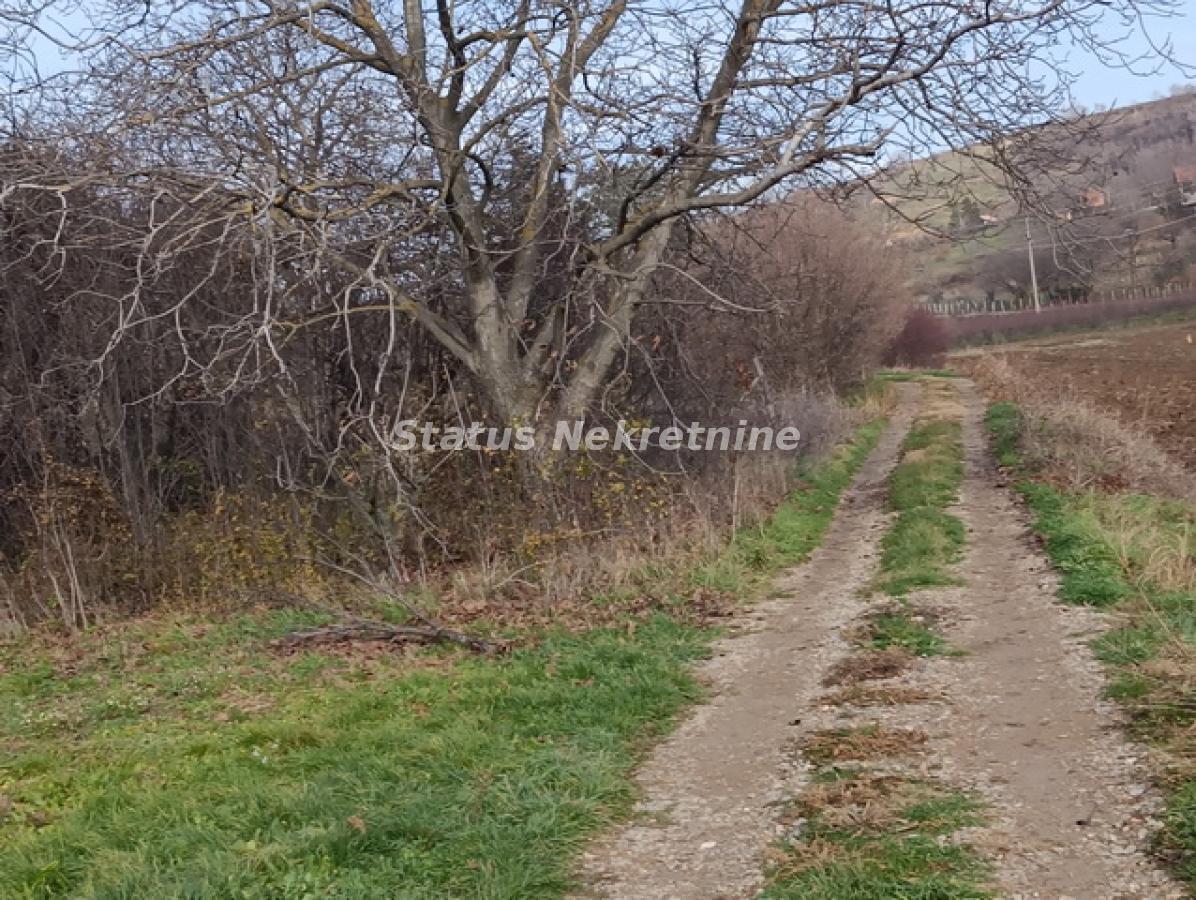 Plac Prodaja Sremski Karlovci Plac Prodaja Sremski Karlovci 0 m2
