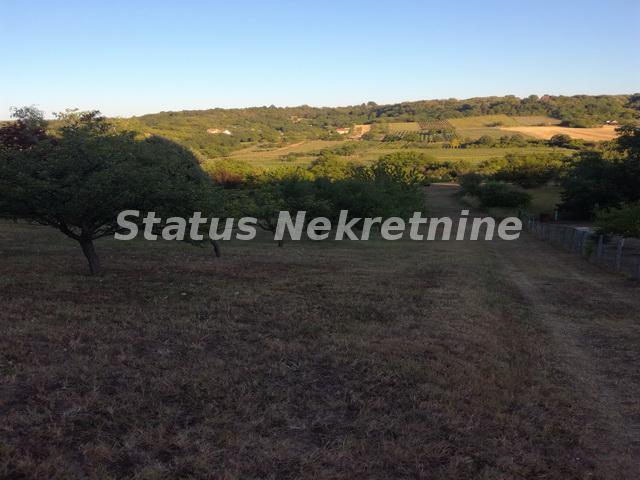 Plac Prodaja Novi Sad  0 m2