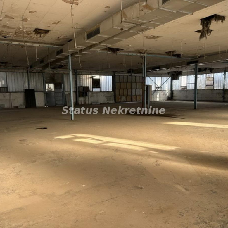 Lokal Izdavanje Novi Sad  300 m2