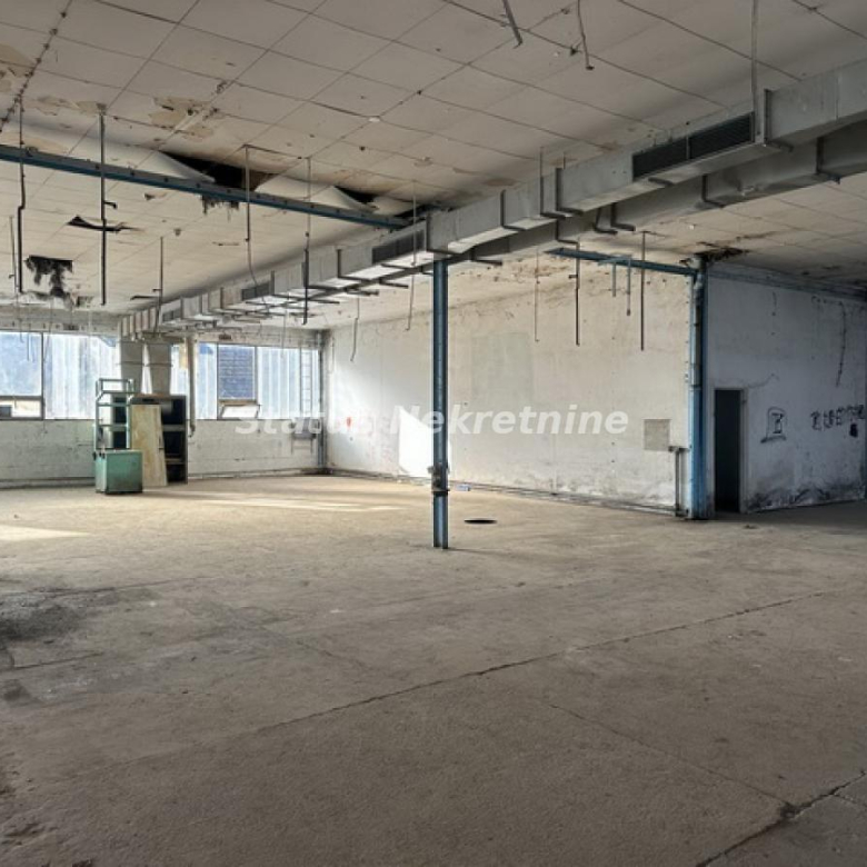 Lokal Izdavanje Novi Sad  300 m2