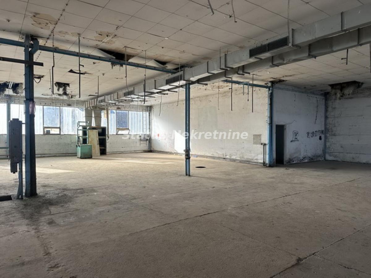 Lokal Izdavanje Novi Sad  300 m2