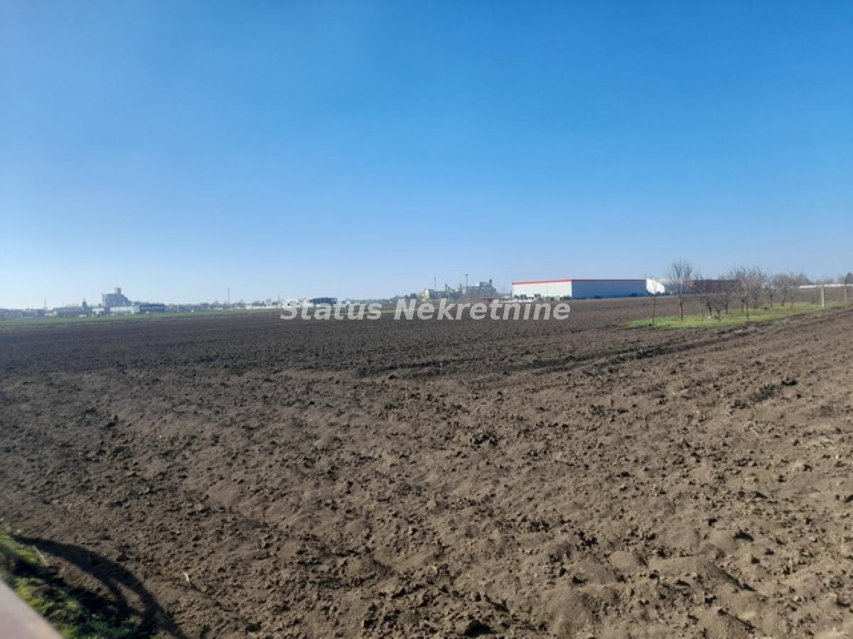 Plac Prodaja Inđija Plac Prodaja Inđija 0 m2