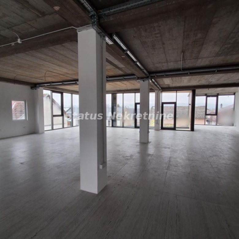 Lokal Izdavanje Novi Sad  240 m2