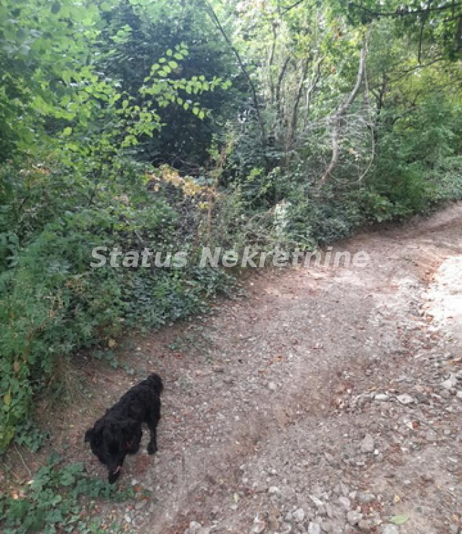 Plac – Sremski Karlovci, – ID 20530.