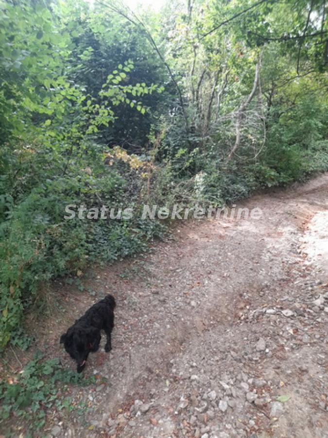 Plac Prodaja Sremski Karlovci  0 m2