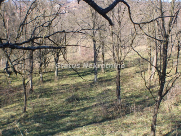 Plac Prodaja Vrdnik  0 m2