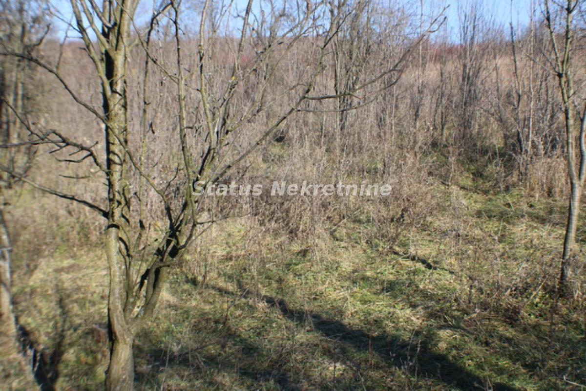 Plac Prodaja Vrdnik  0 m2