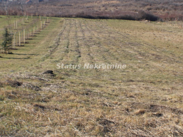Plac Prodaja Vrdnik  0 m2
