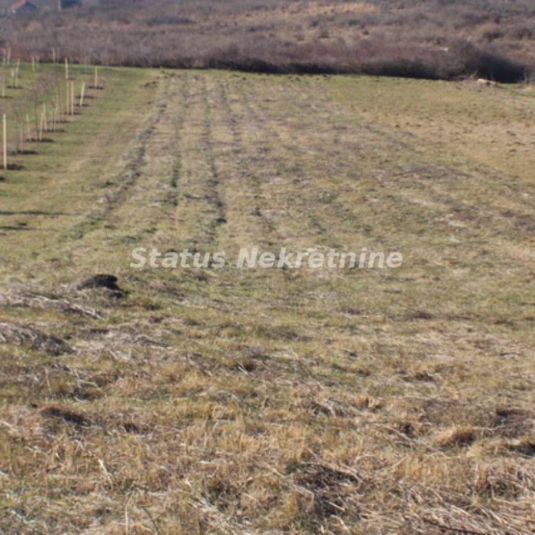 Plac Prodaja Vrdnik  0 m2