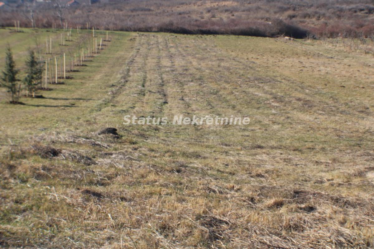 Plac Prodaja Vrdnik  0 m2