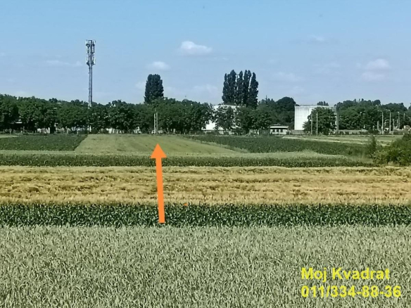 Plac Prodaja Beograd Batajnica 0 m2