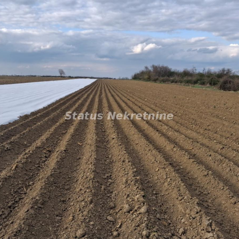 Plac Prodaja Novi Sad  12710 m2