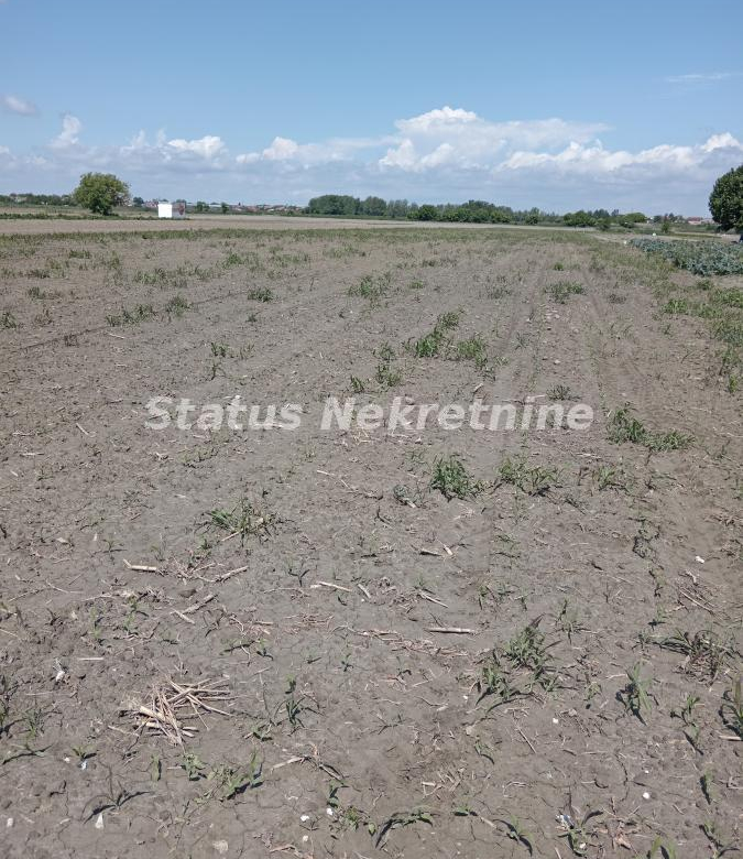 Plac – Novi Sad,   – ID 21805.