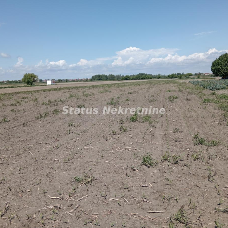 Plac Prodaja Novi Sad  6917 m2