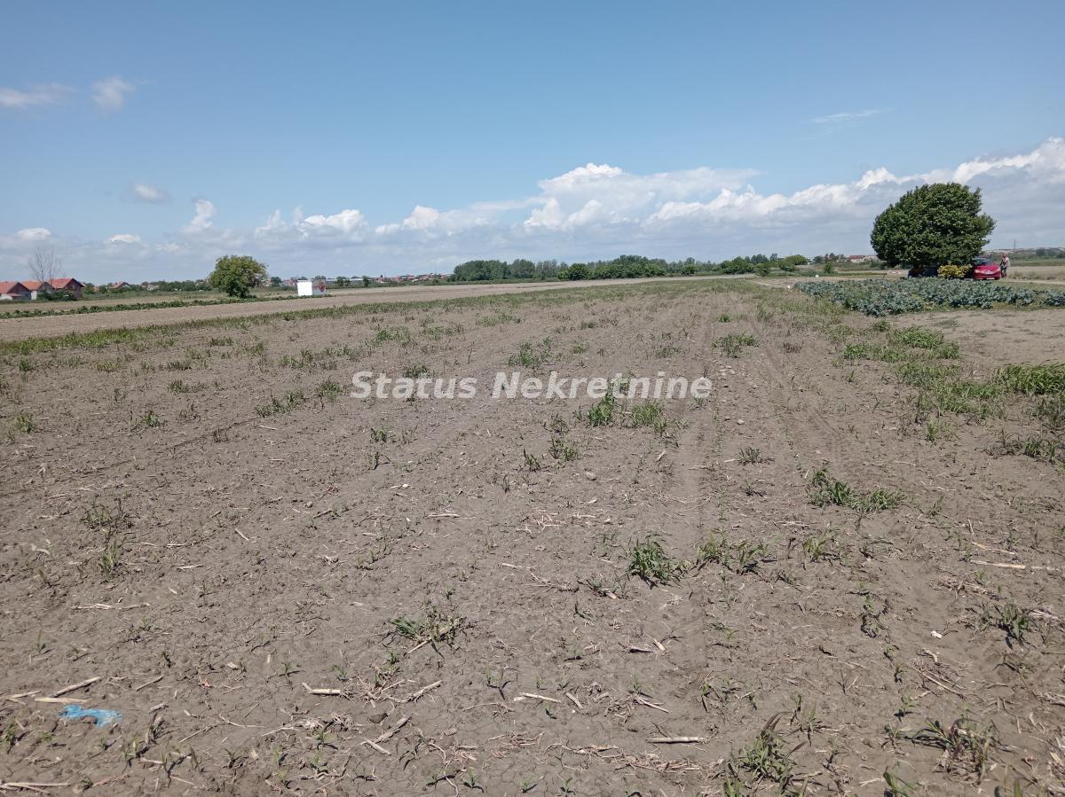 Plac Prodaja Novi Sad  6917 m2