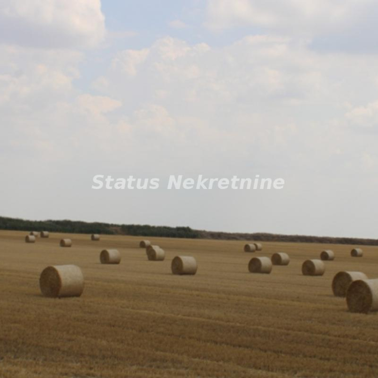 Plac Prodaja Novi Sad  0 m2