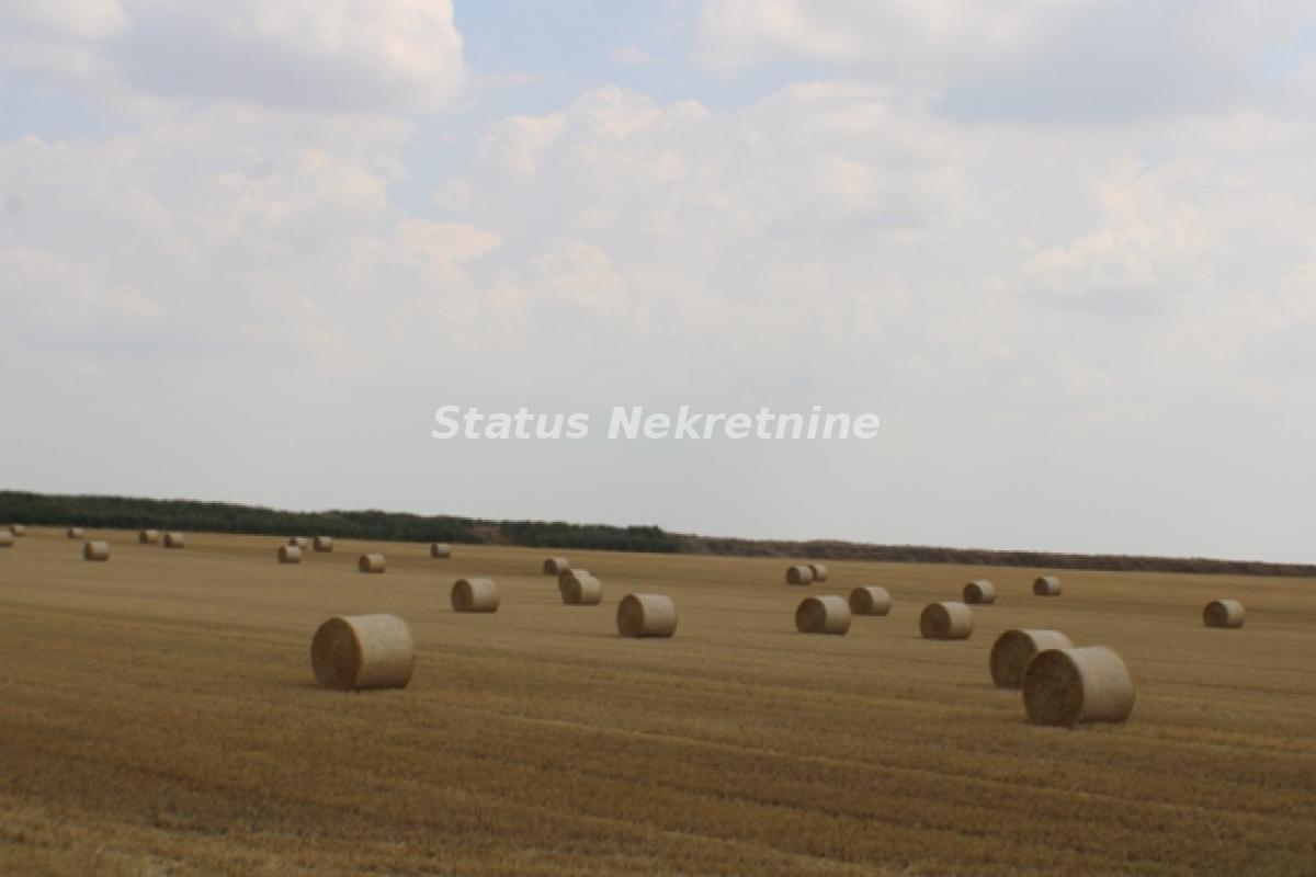 Plac Prodaja Novi Sad  0 m2
