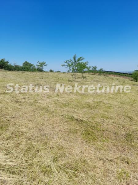 Plac Prodaja Novi Sad  0 m2