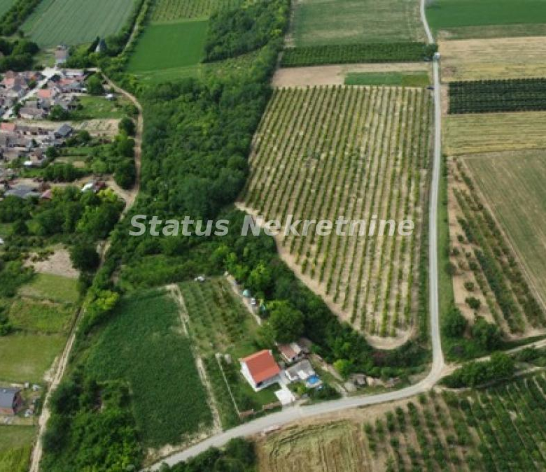 Plac Prodaja Irig  0 m2