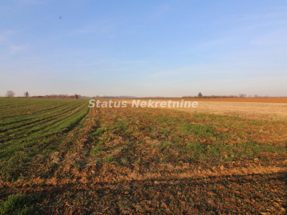 Plac Prodaja Irig  0 m2