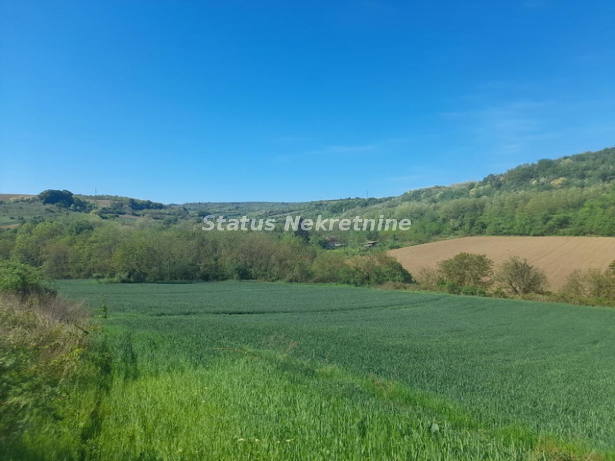 Plac Prodaja Sremski Karlovci Plac Prodaja Sremski Karlovci 0 m2