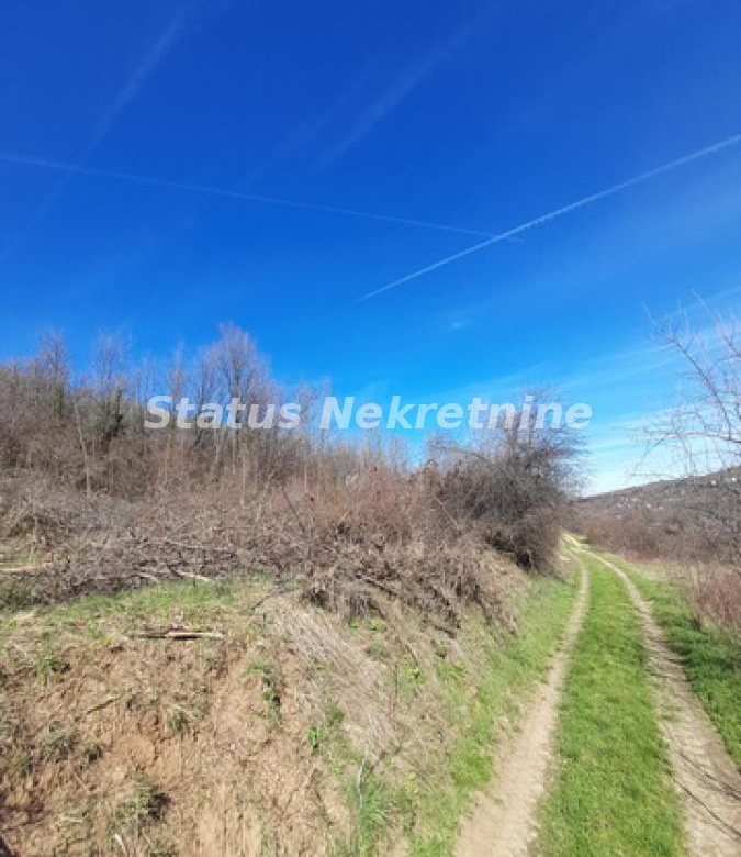 Plac Prodaja Sremski Karlovci  0 m2
