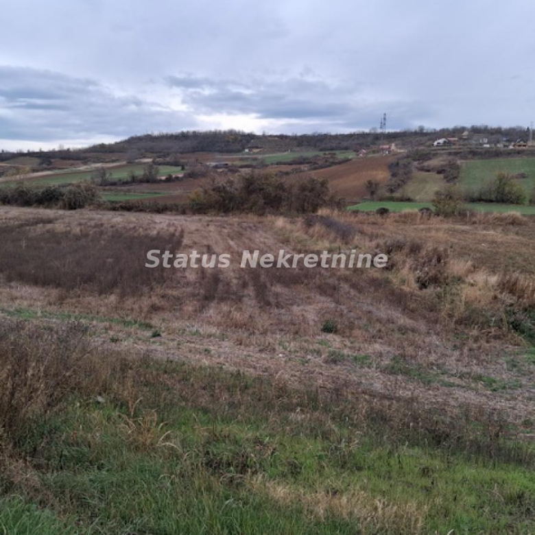 Plac Prodaja Novi Sad  0 m2