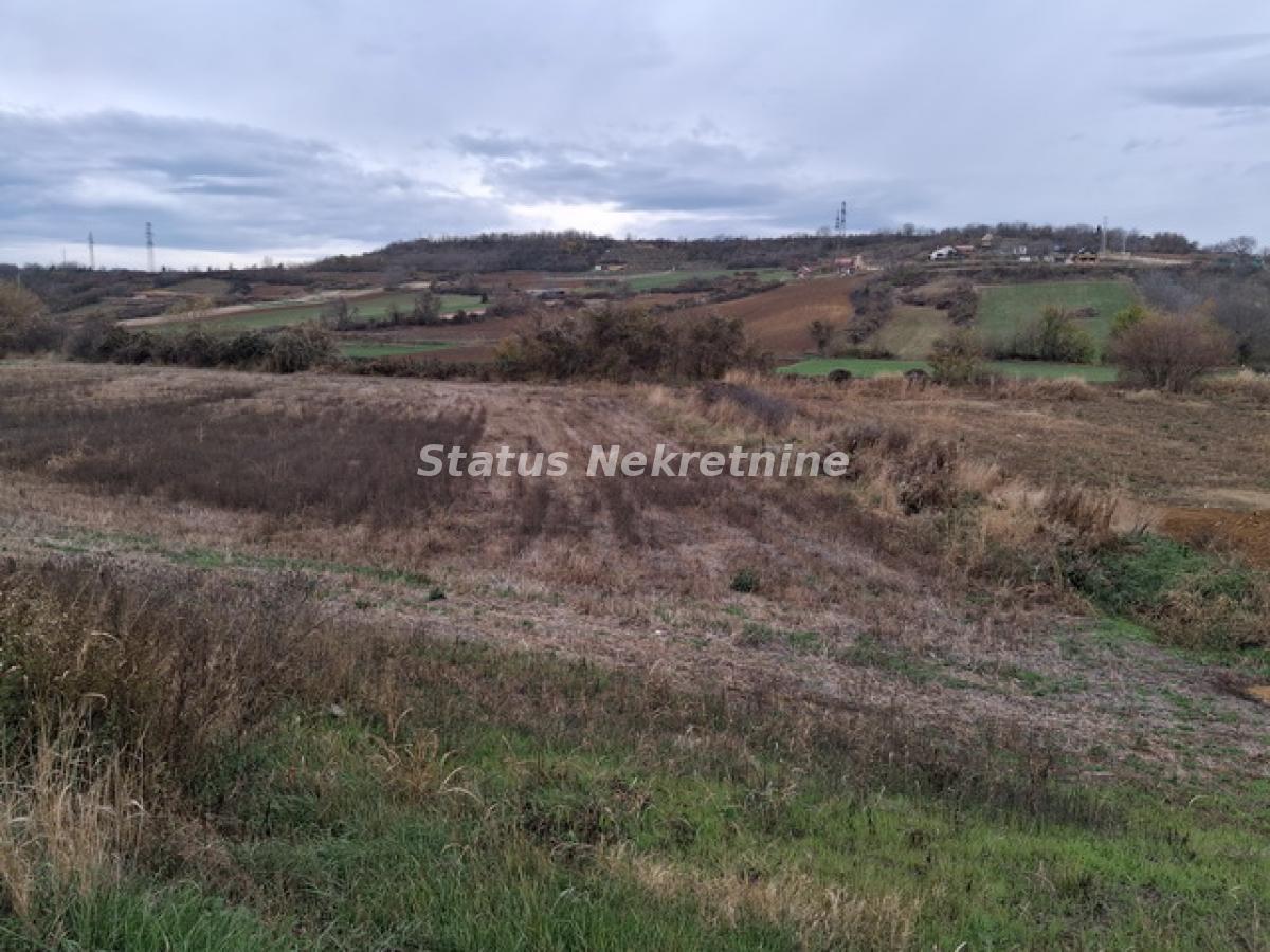 Plac Prodaja Novi Sad  0 m2