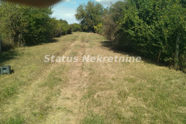 Plac – Novi Sad, Begeč  – ID 17329.