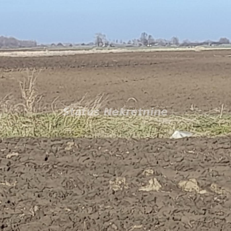 Plac Prodaja Novi Sad  0 m2