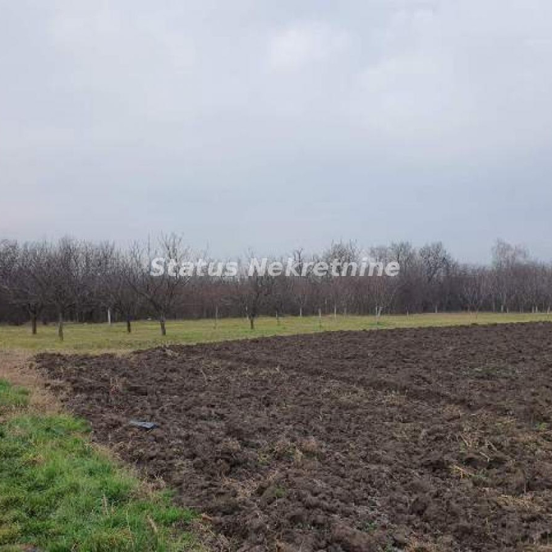 Plac – Inđija, – ID 22374.