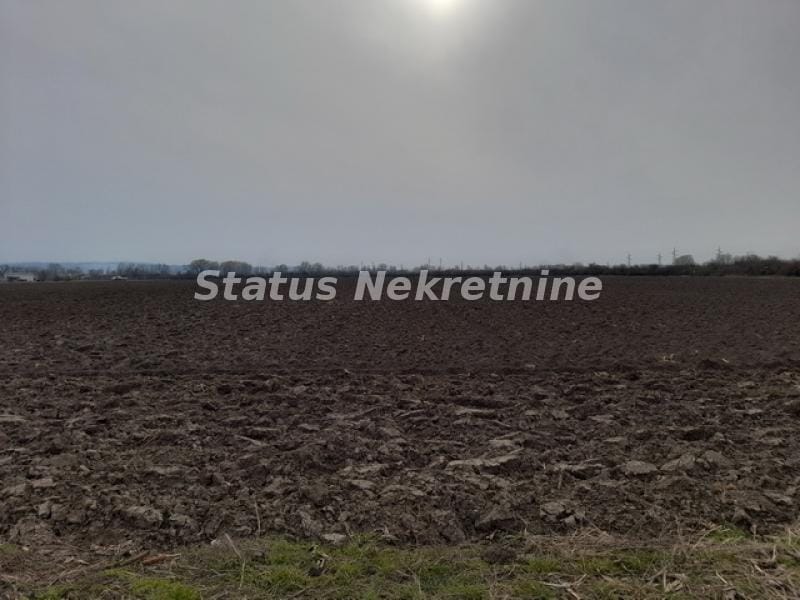 Plac Prodaja Novi Sad Plac Prodaja Novi Sad 0 m2