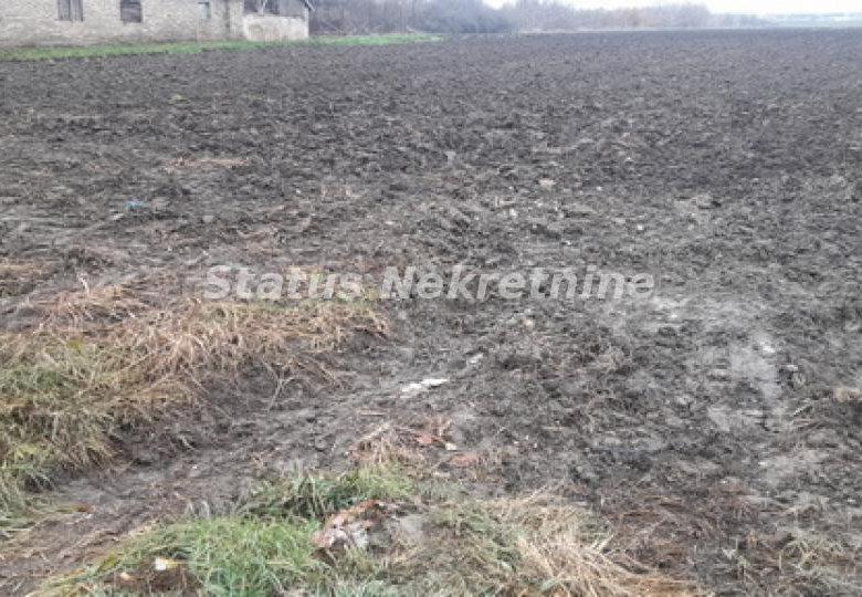 Plac – Novi Sad, Klisa – ID 21454.