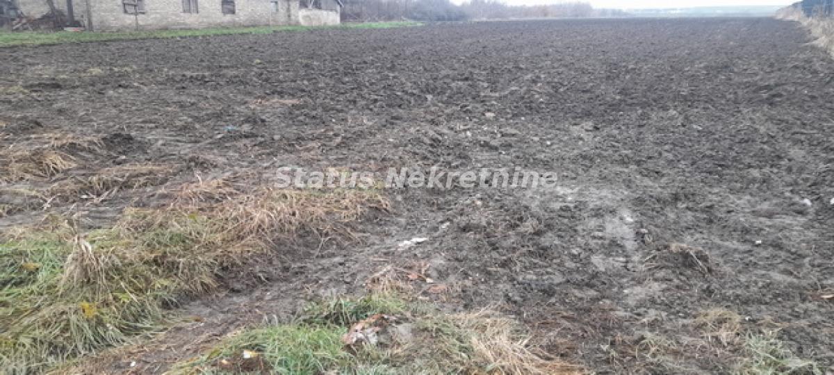 Plac Prodaja Novi Sad Plac Prodaja Novi Sad 0 m2