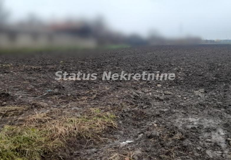 Plac Prodaja Novi Sad  0 m2