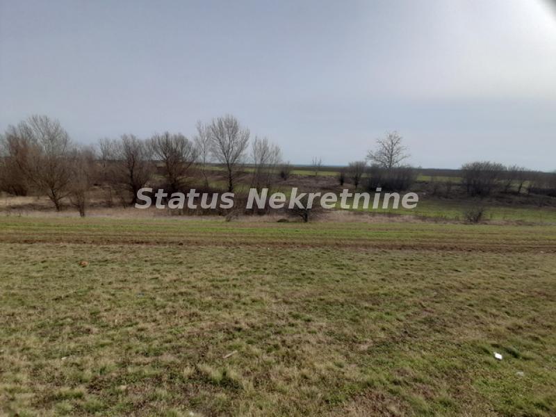 Plac Prodaja Žabalj Plac Prodaja Žabalj 0 m2