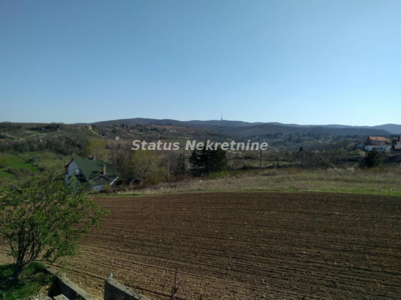 Plac Prodaja Novi Sad  0 m2