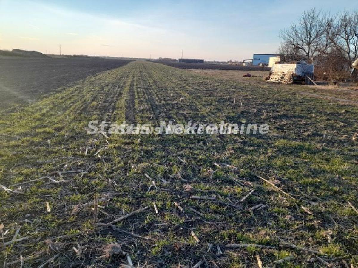 Plac Prodaja Novi Sad Plac Prodaja Novi Sad 0 m2
