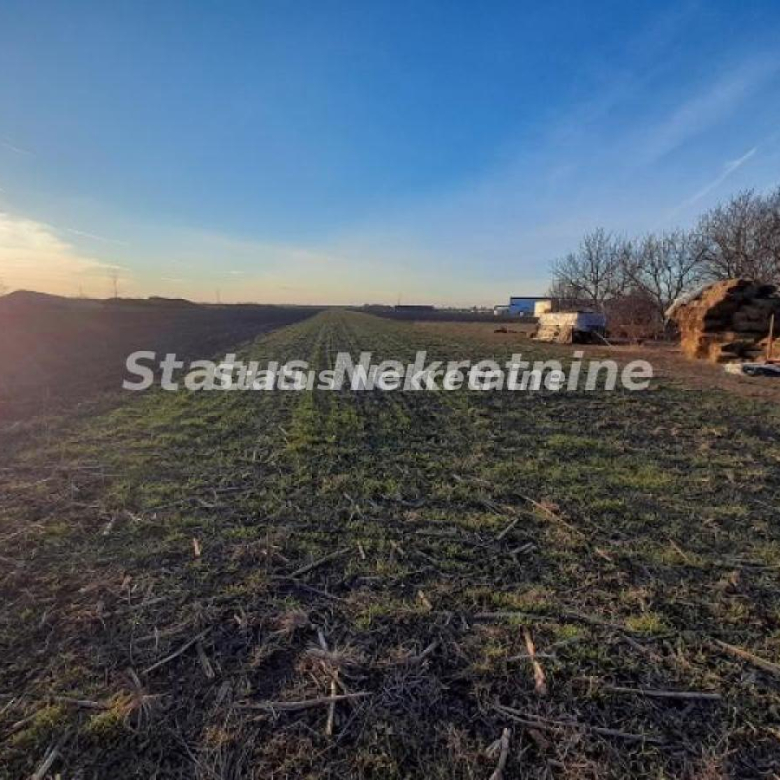 Plac Prodaja Novi Sad  5640 m2