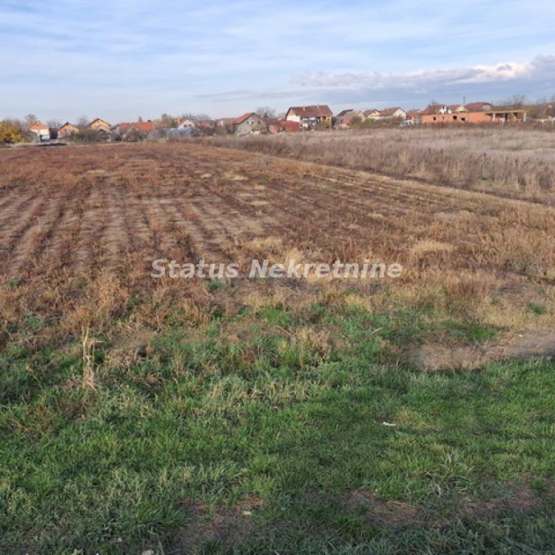 Plac Prodaja Novi Sad  0 m2