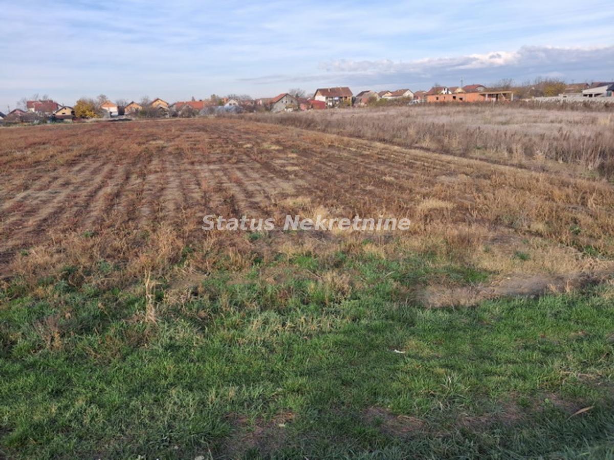Plac Prodaja Novi Sad Plac Prodaja Novi Sad 0 m2